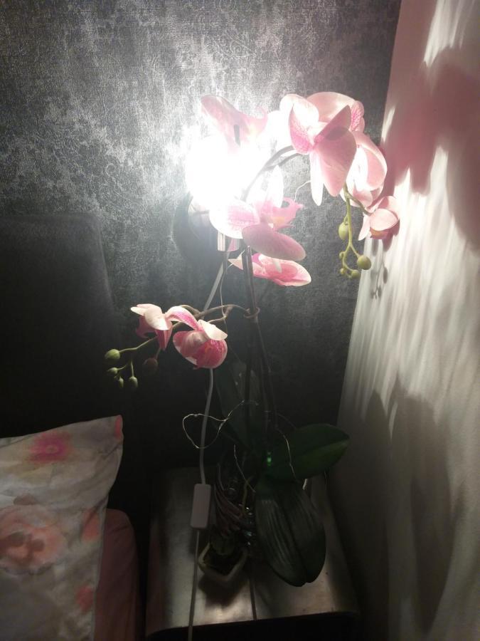 Apartman Ines *