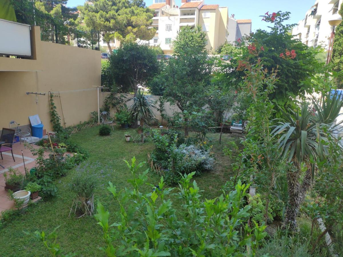 Apartment Spacious With Big Garden Near