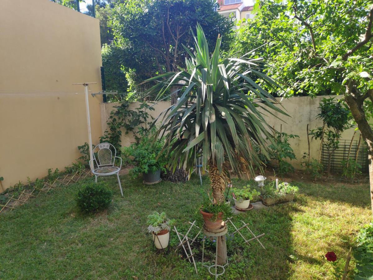 Apartment Spacious With Big Garden Near *