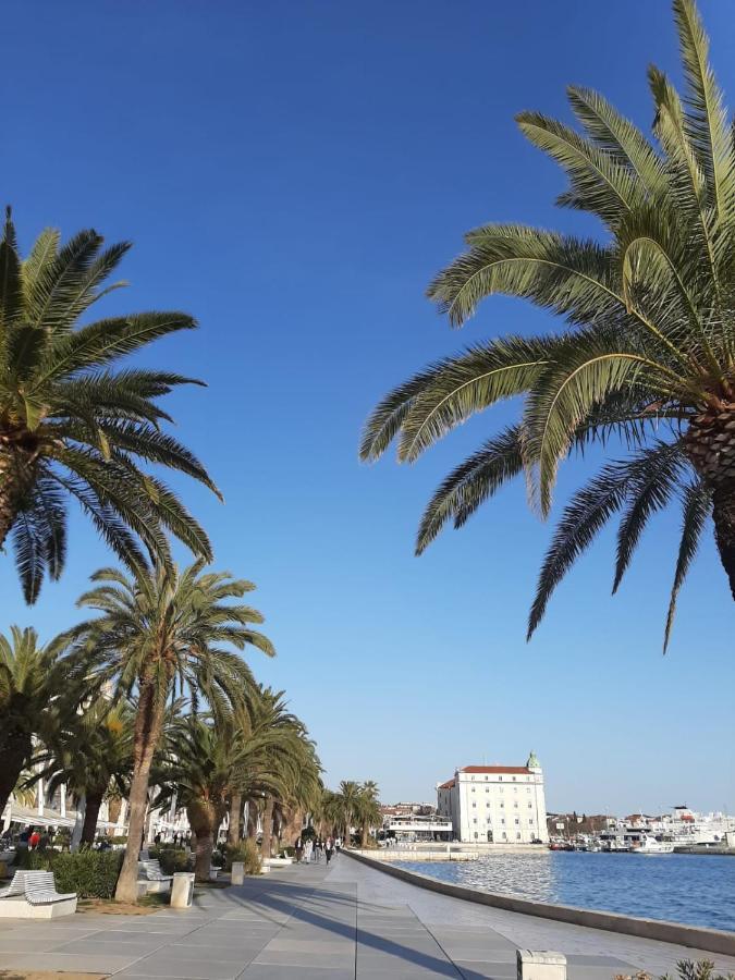 Sunshine- Center Of Split