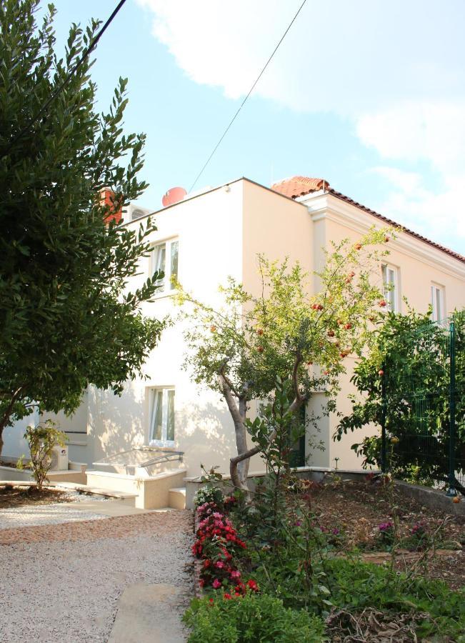 Luxury Roza Villa