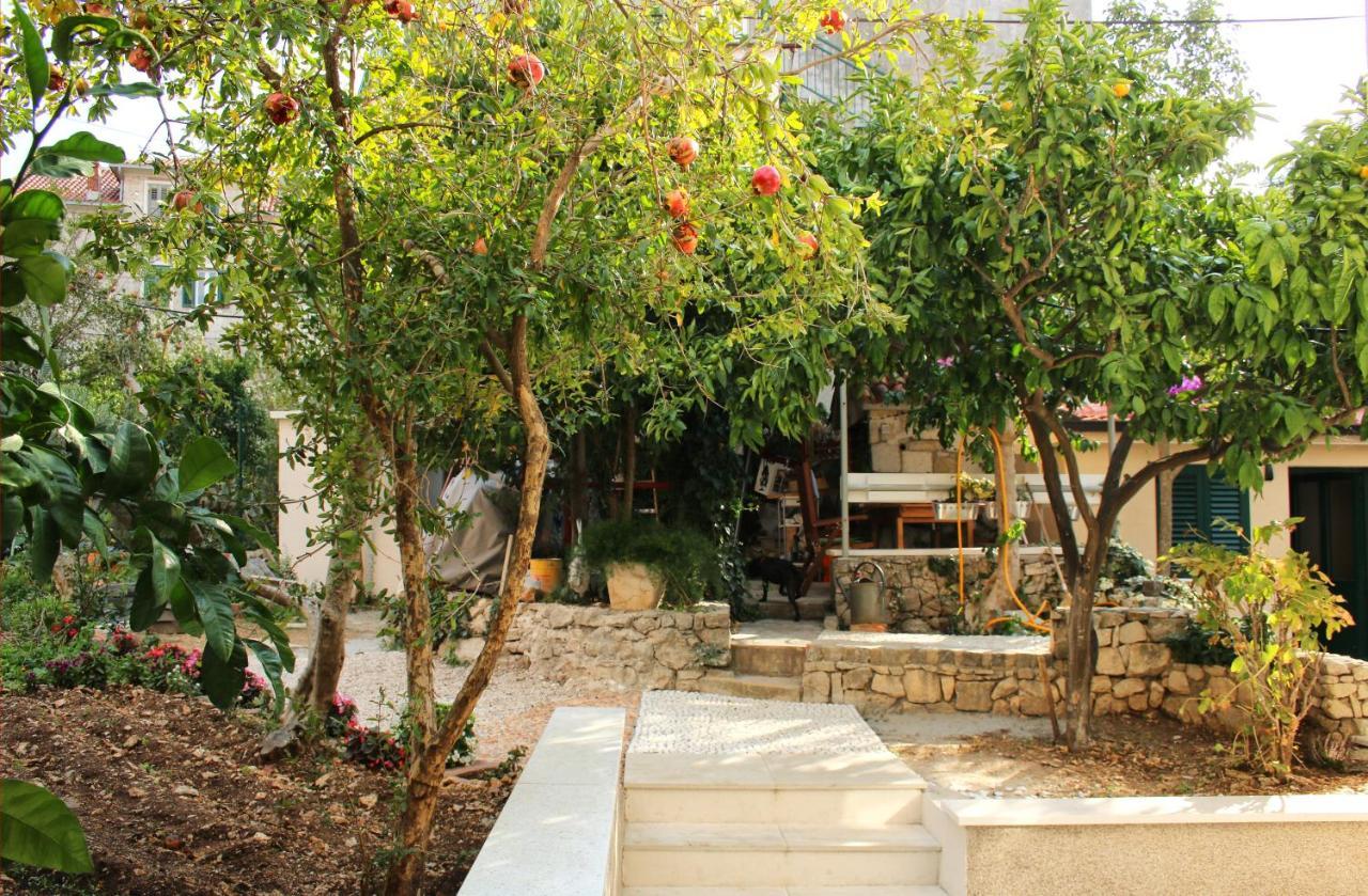 Luxury Roza * Split