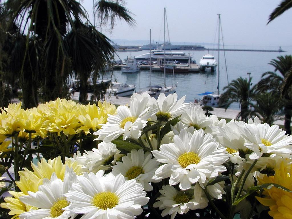Beach City Pearls Guest house Split