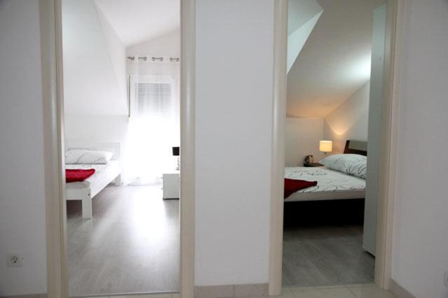 Apartment Nova *
