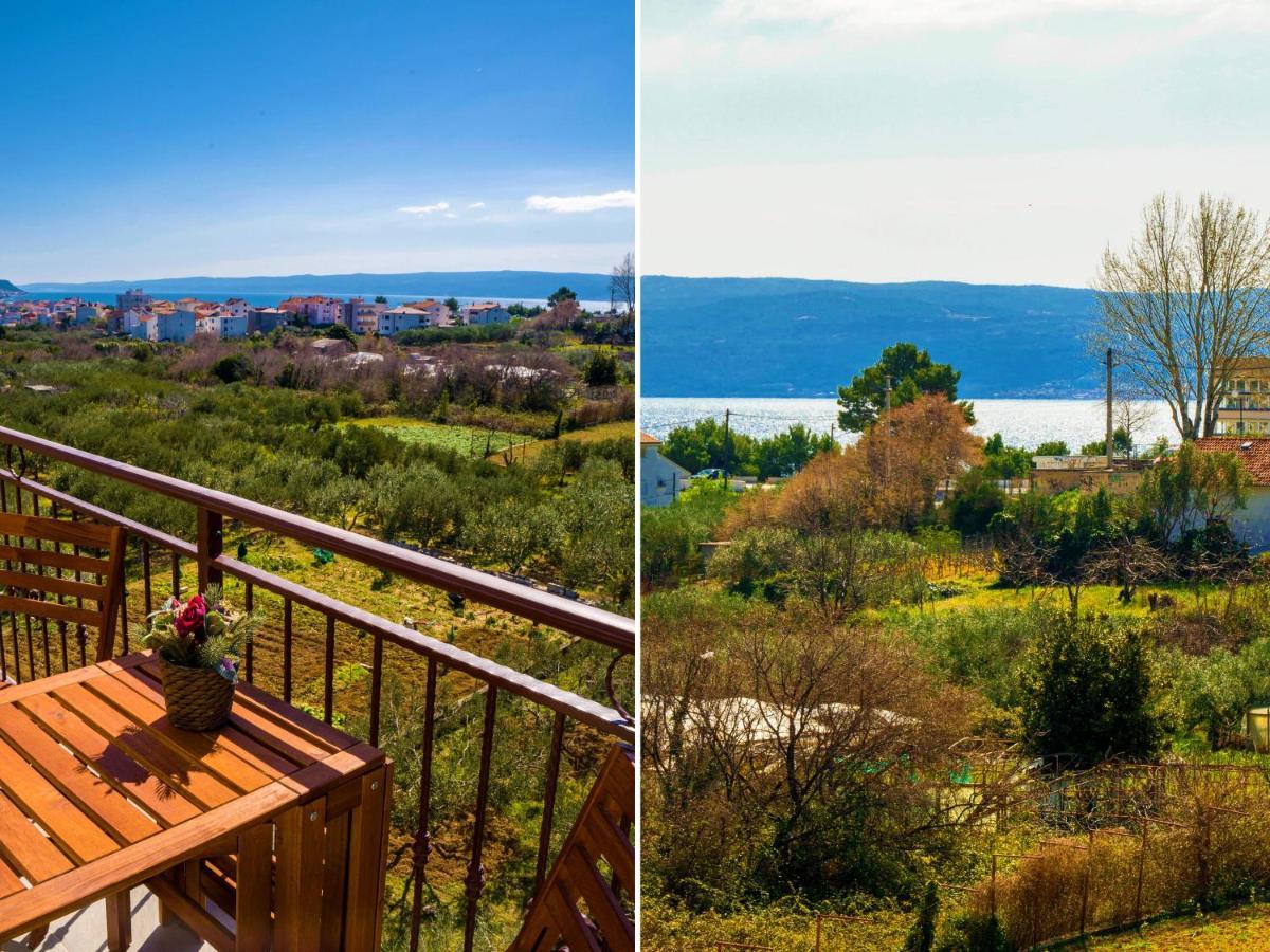 Olive Tree Apartment Split