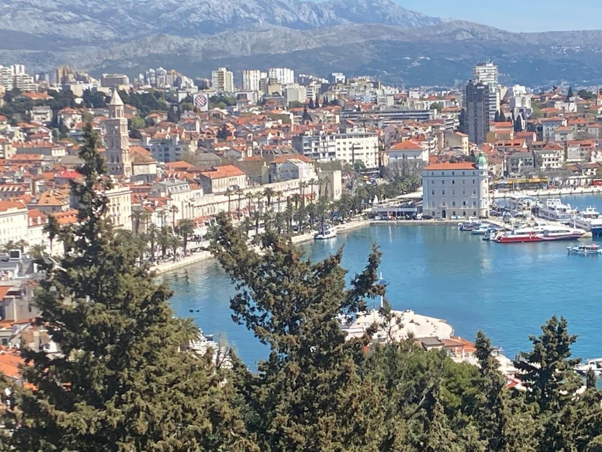 Avita * Split
