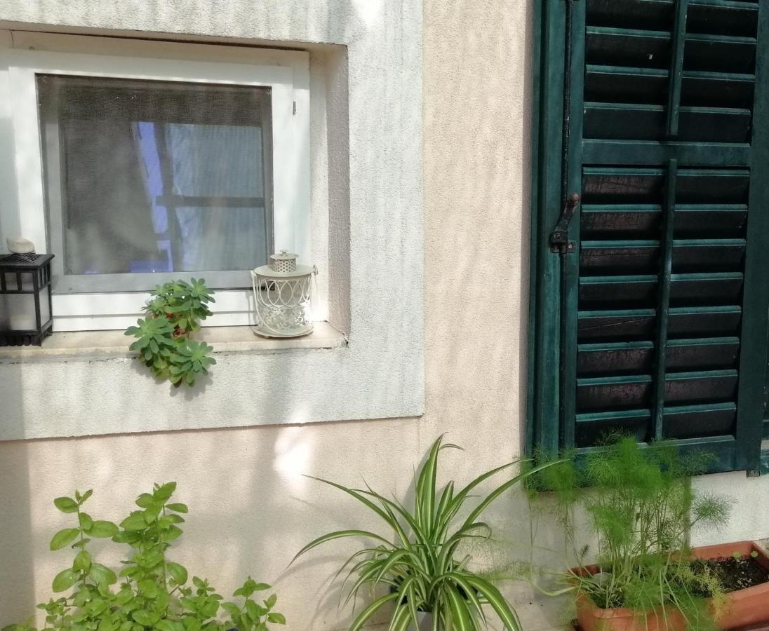 Appartement Branka