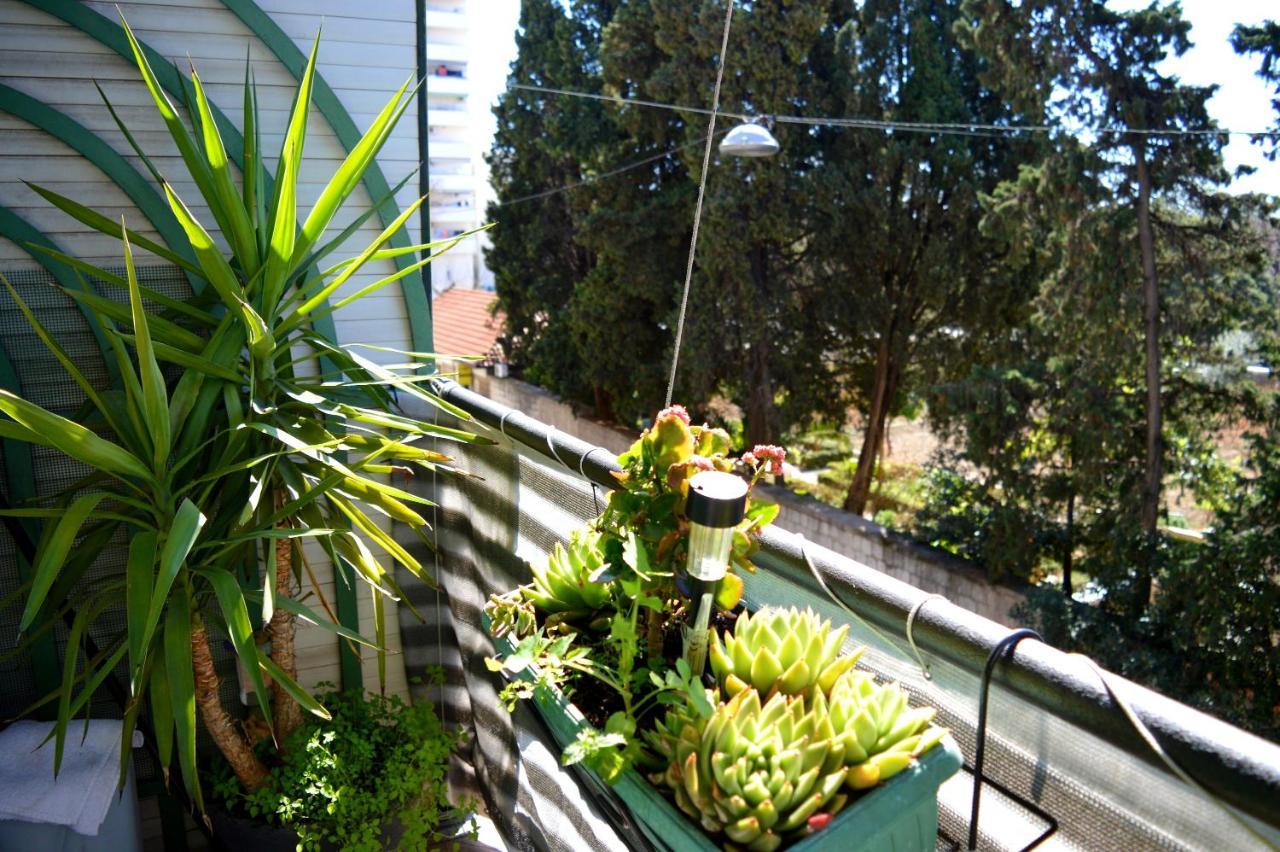 Apartment Spacious Center Split
