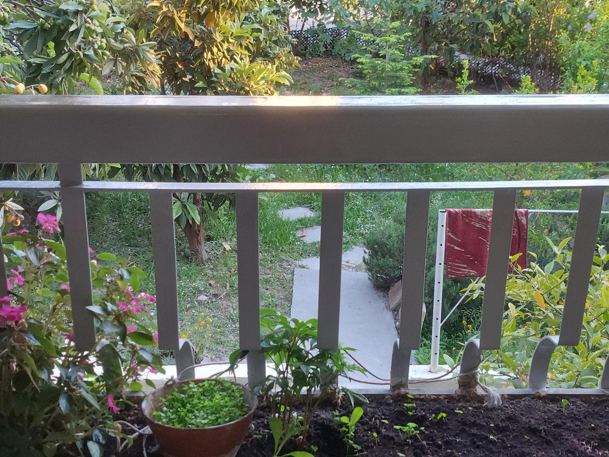 Buga Appartement Split