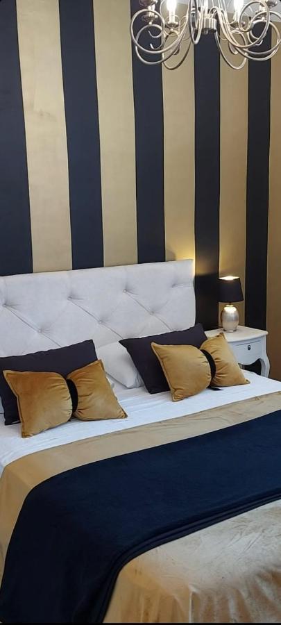 Apartman Luxury Oasis Split