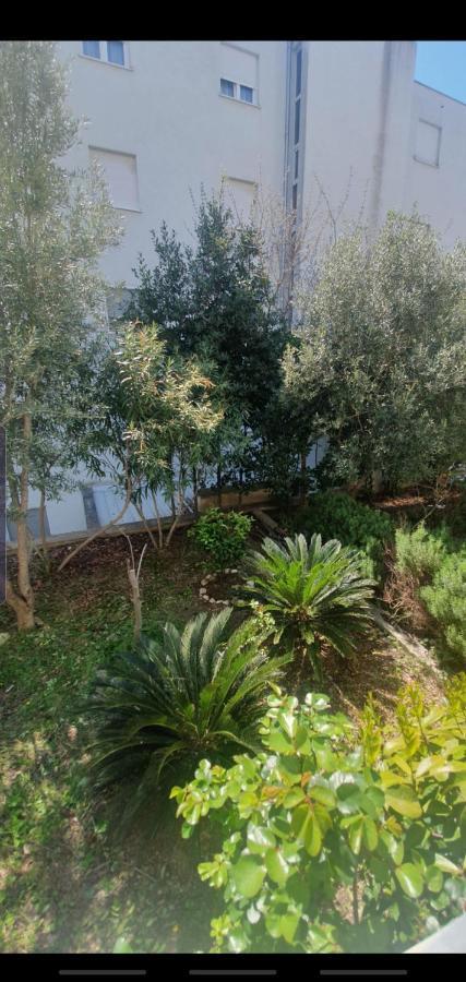 Diana Znjan Appartement Split