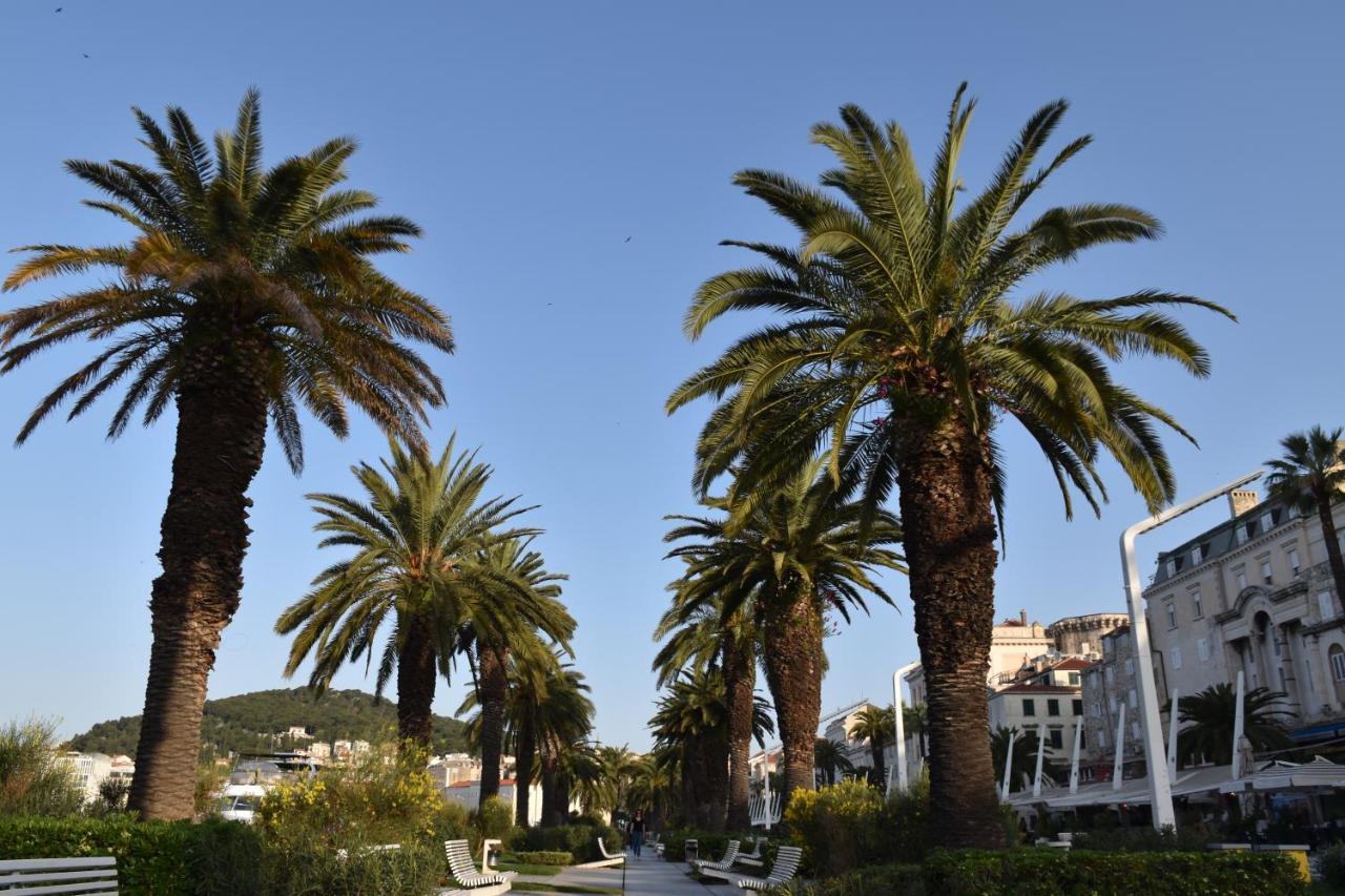 Antares Luxury 3* Split