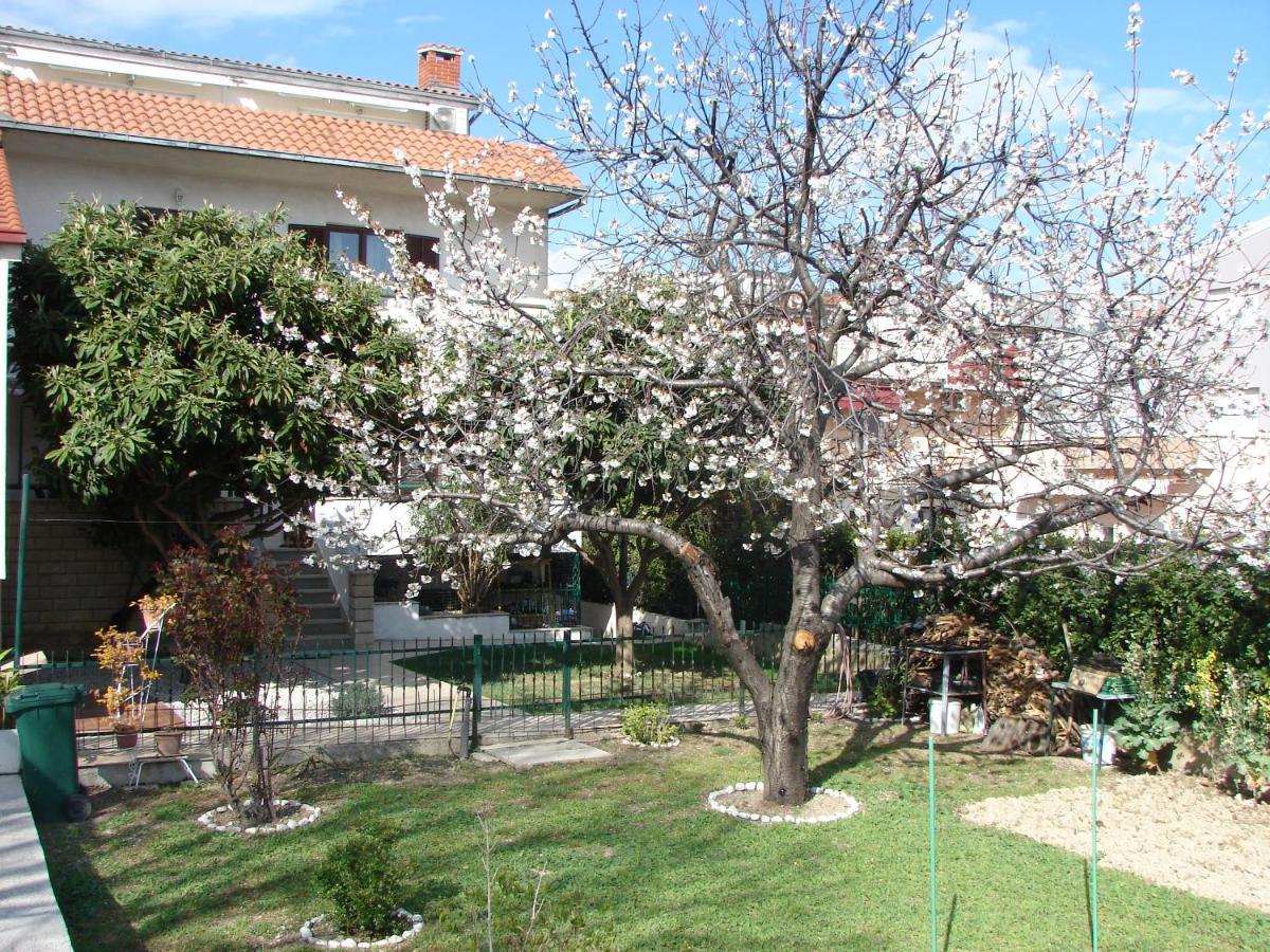 Svagi Split