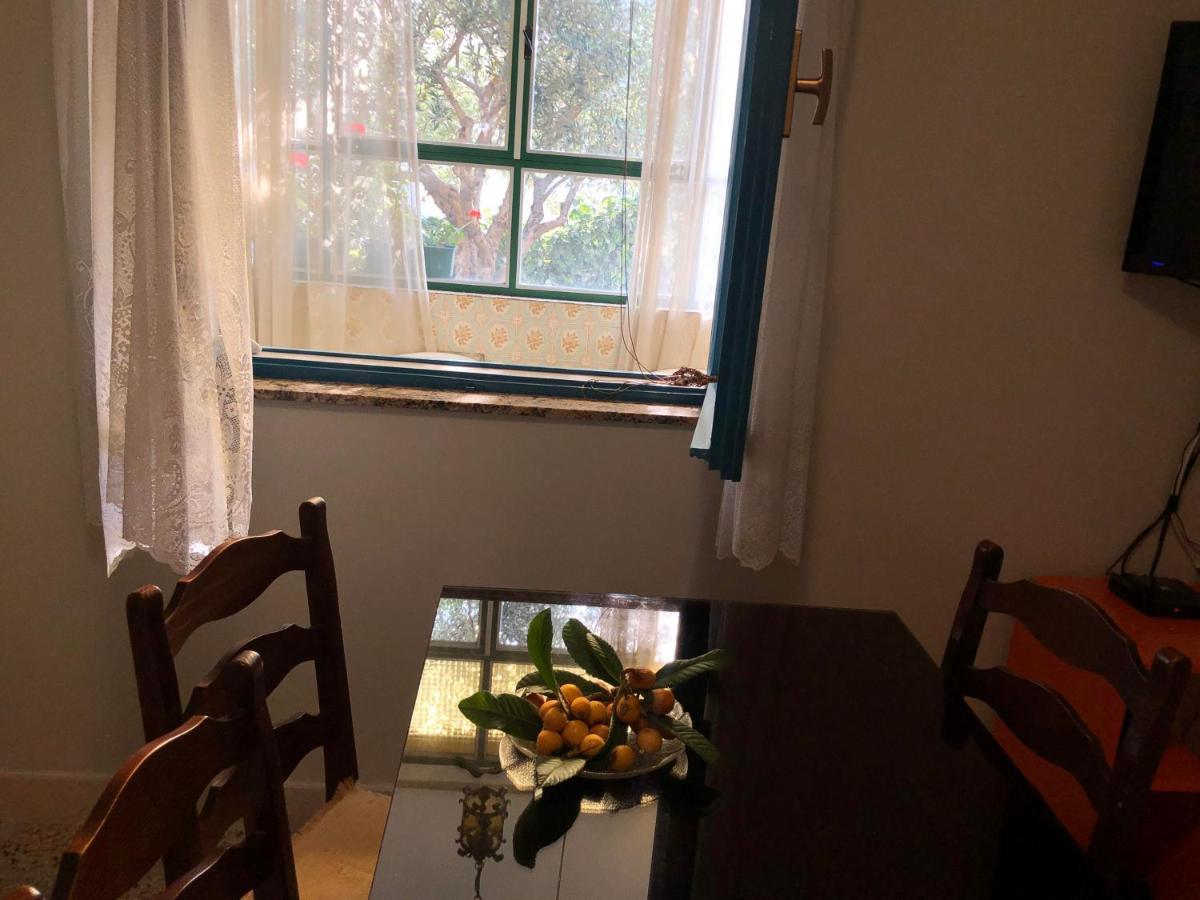 Garden Appartement *