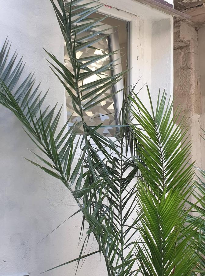 Nedo Split