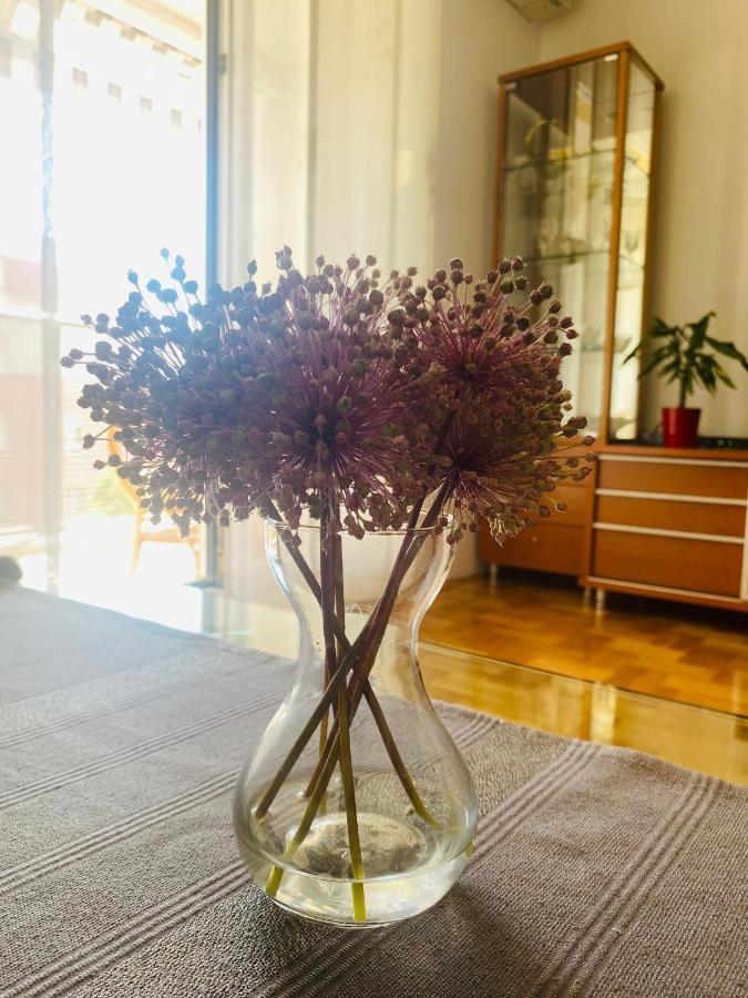 Apartamento Paulina *