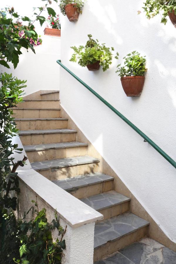 Luxury Garden Apartment *