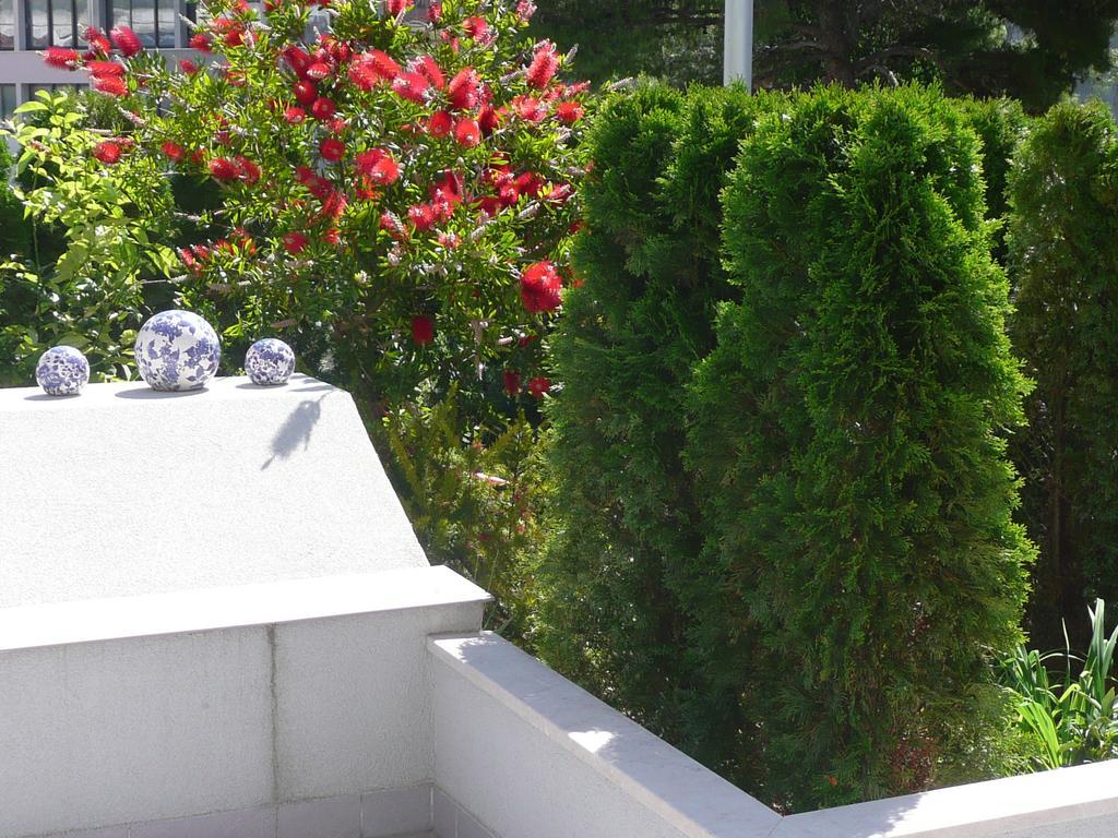San Apartamento Split