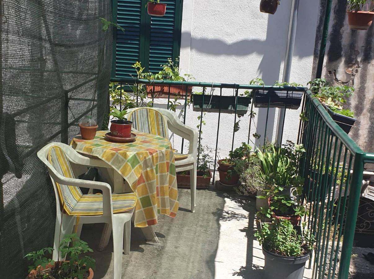 Nedo Apartman