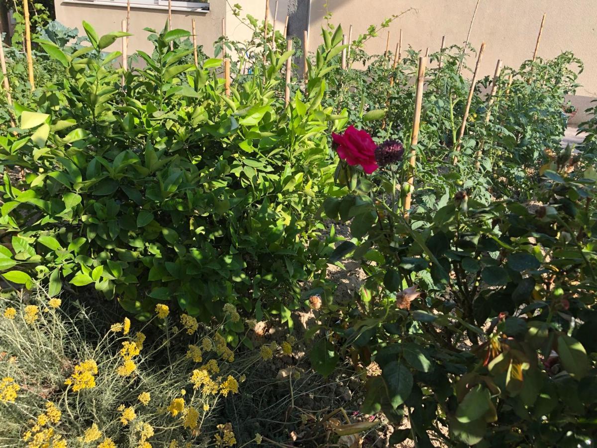 Appartement Garden