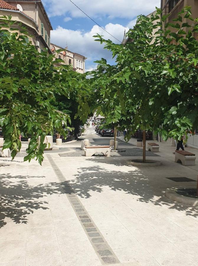 Apartman Nedo *