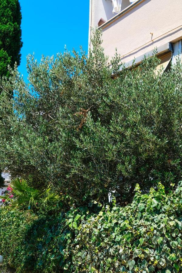 Olive Shade - Near The Beach Apartment