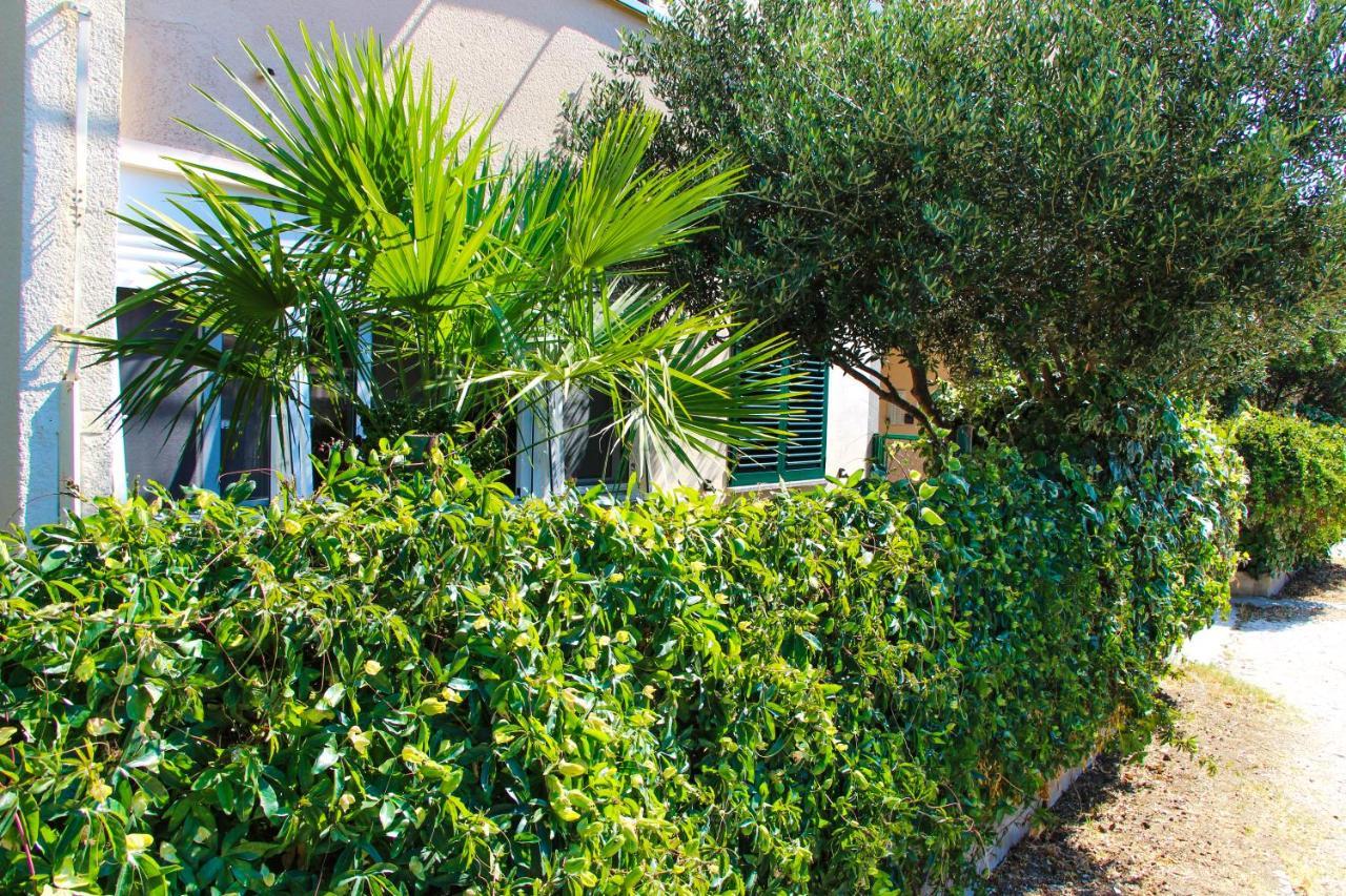 Apartment Olive Shade - Near The Beach Split