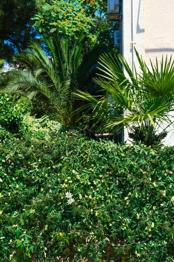 Olive Shade - Near The Beach * Split