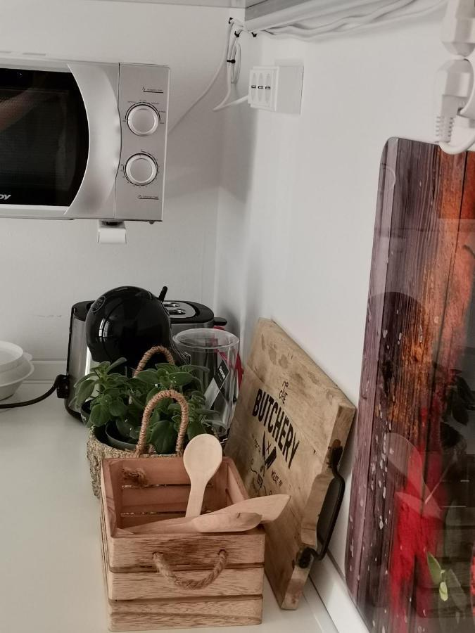 Noe And Joey Apartment