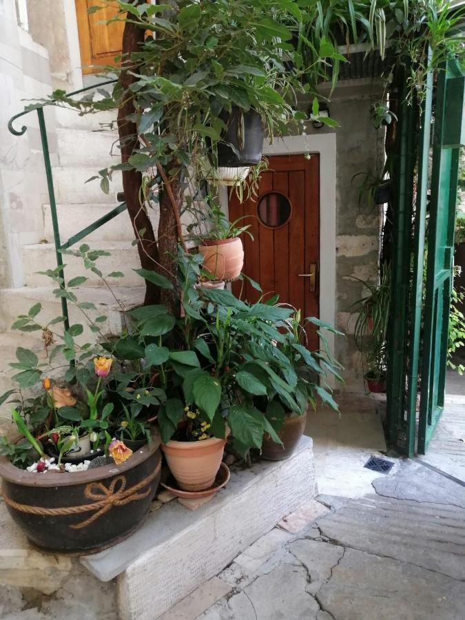 Adriana Downtown Split