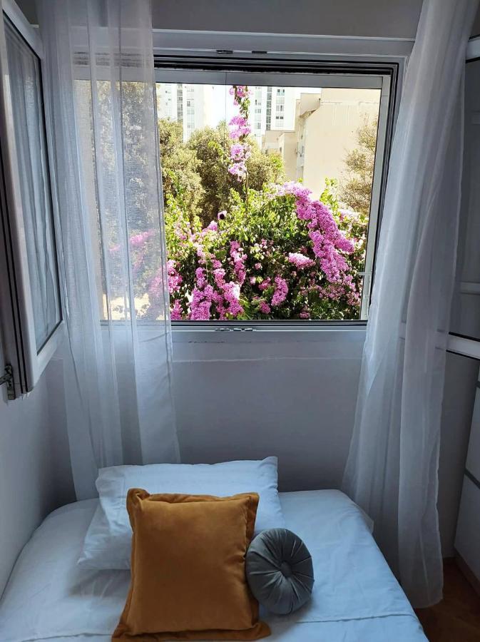 Apartment Lindy Split