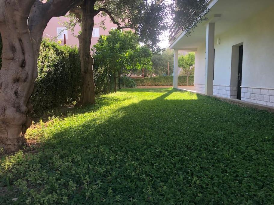 Apartman Aspalathos