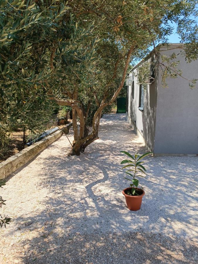 Appartement Nicol