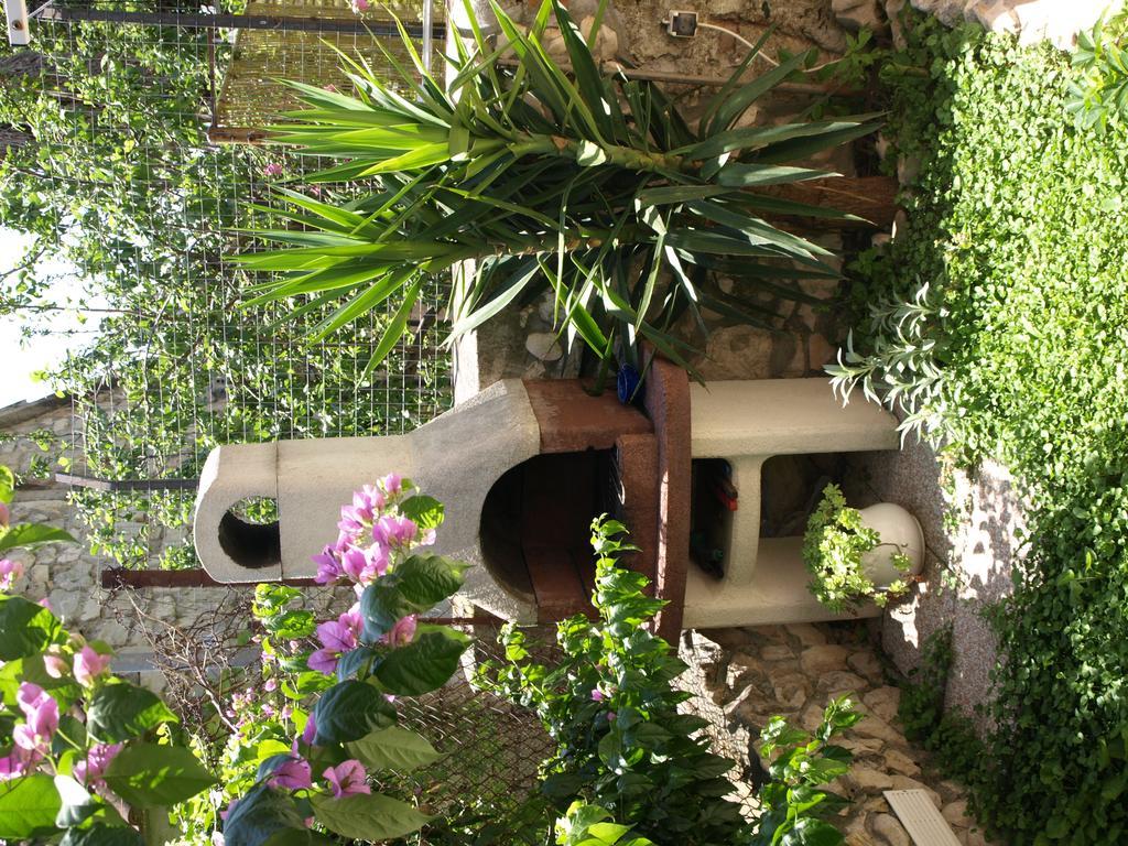 Branka Appartement