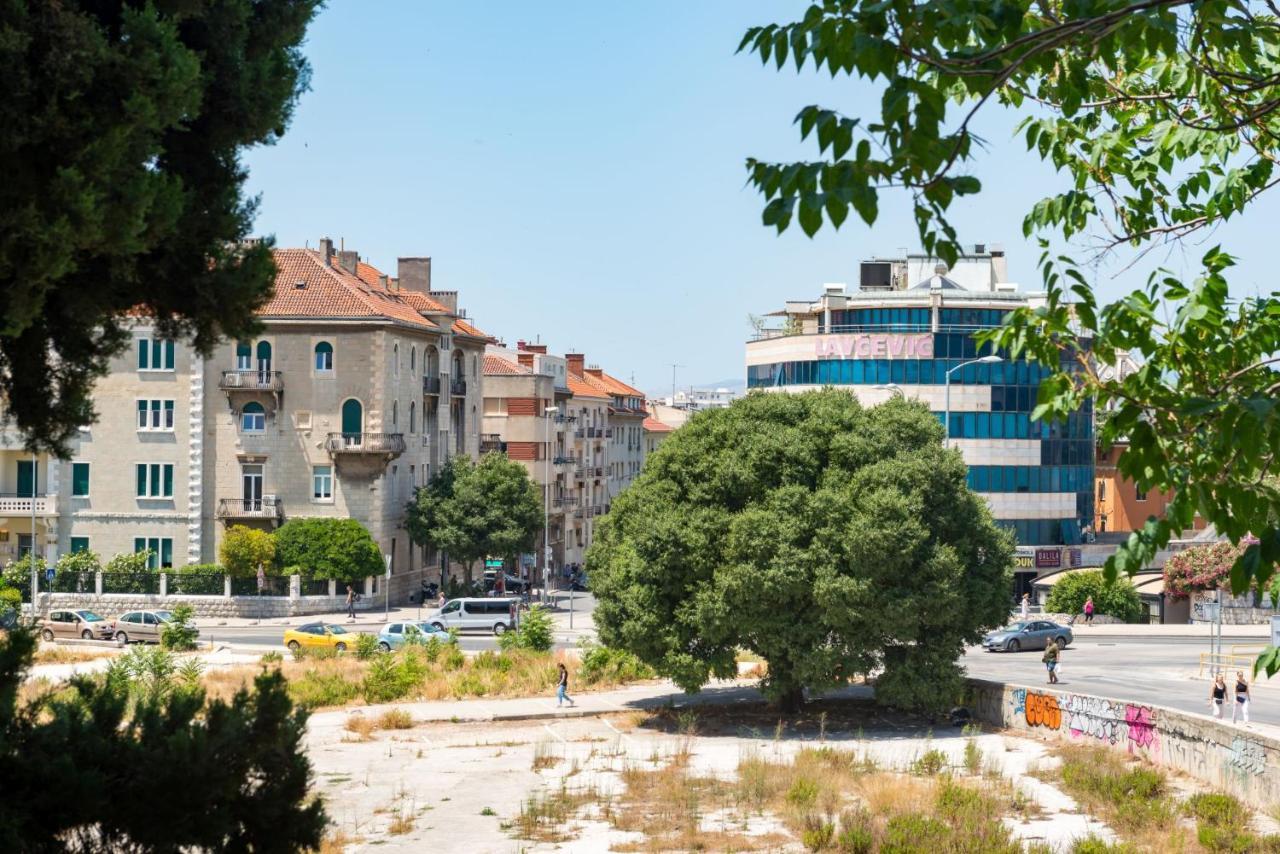 Apartment Lct City Nest Split