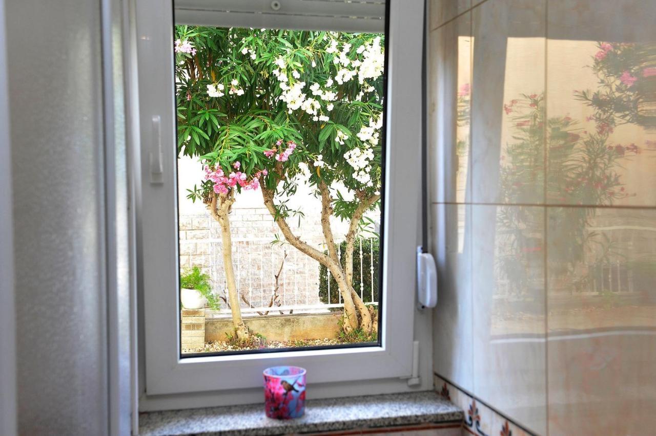 Apartman Botanic *