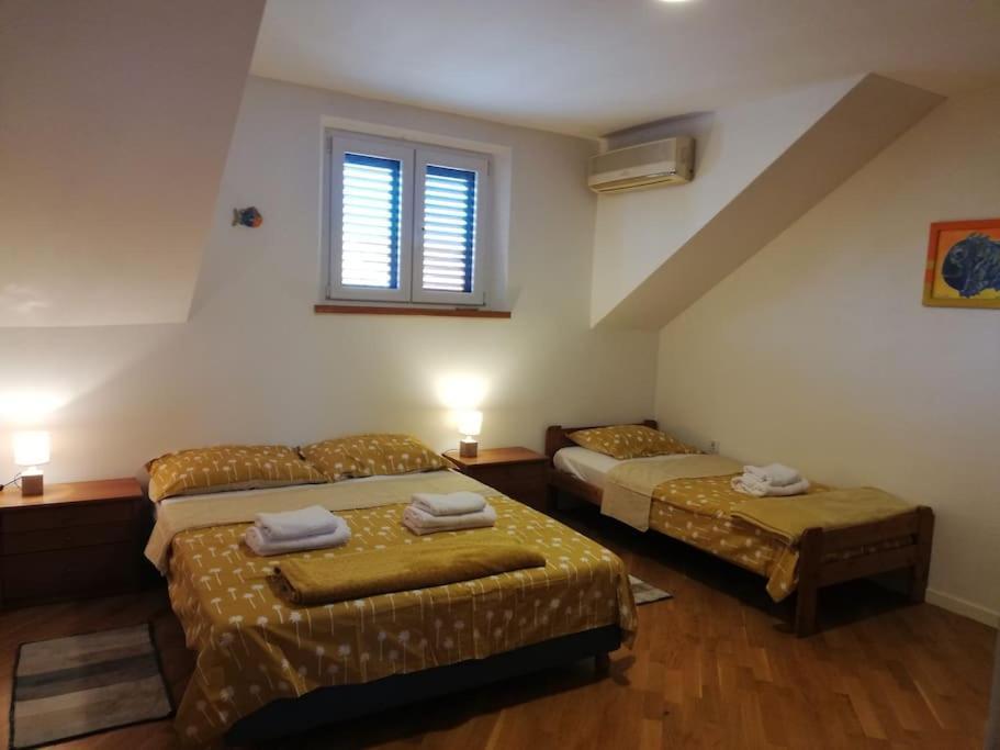 Center Rosita Apartment
