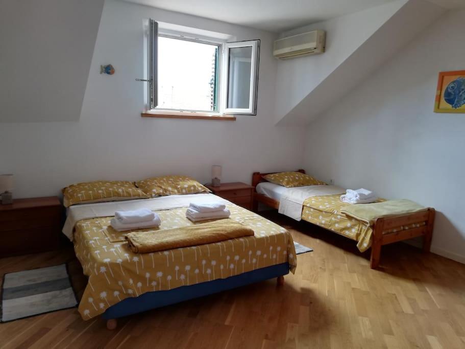 Apartment Center Rosita