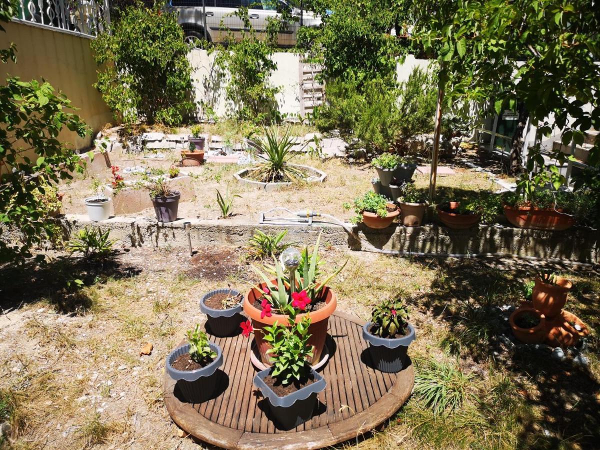 Apartment Ella Split