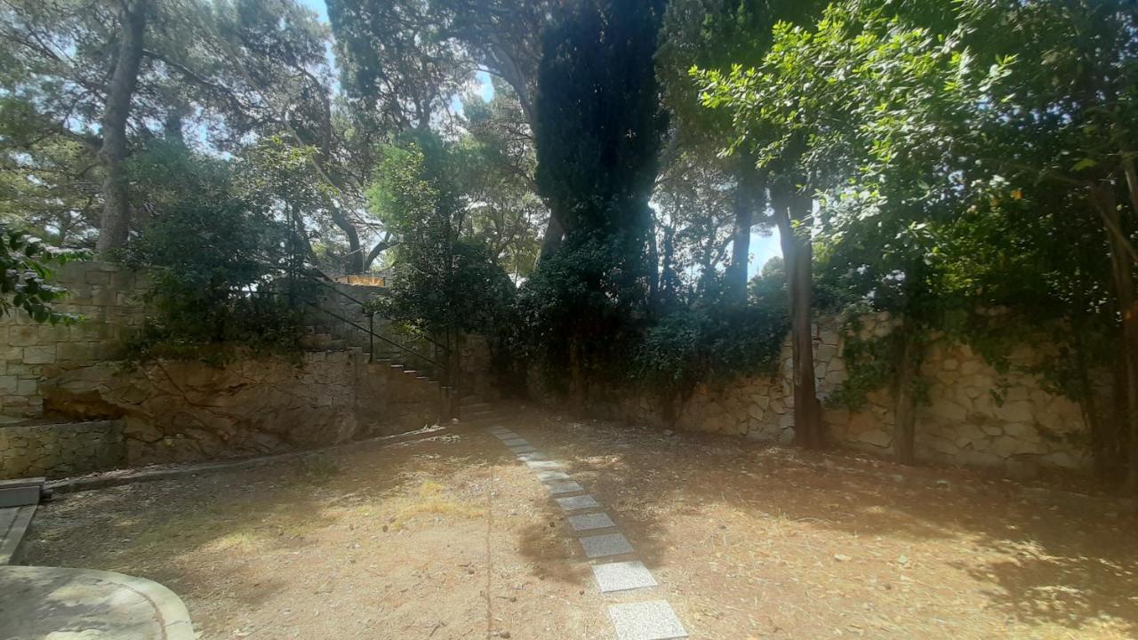 Old Captain's - In A Pine Wood By The Sea And Tennis Courts Appartement *