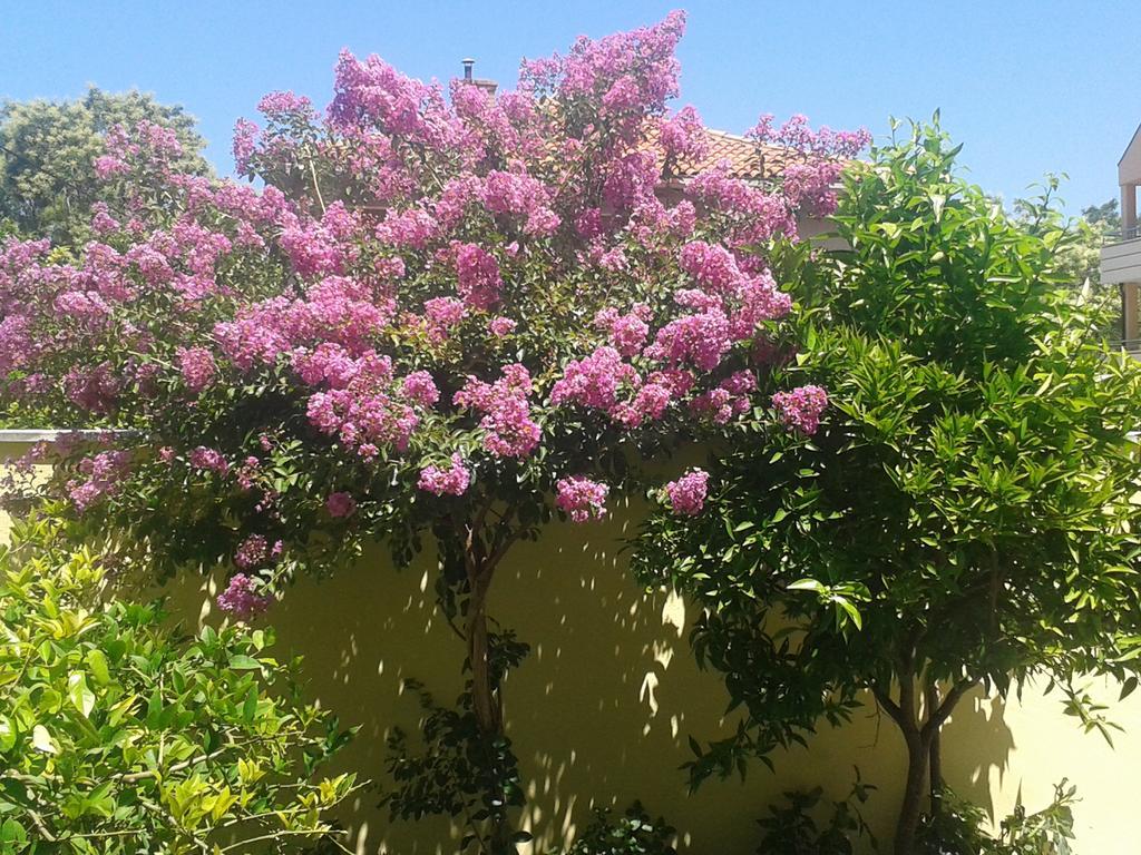 Apartment Zoky Split