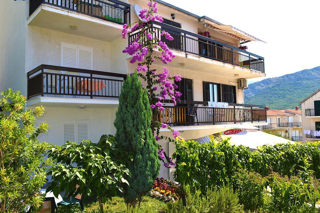 Petra Apartment *