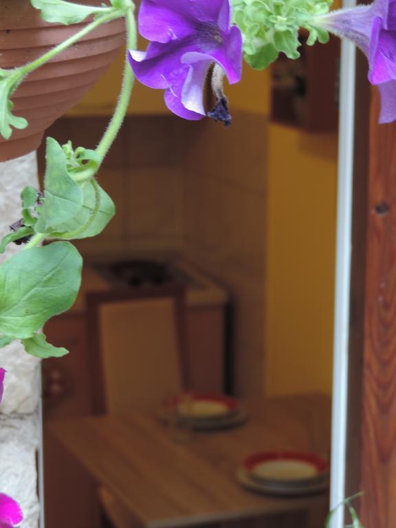 Apartman Apartment 