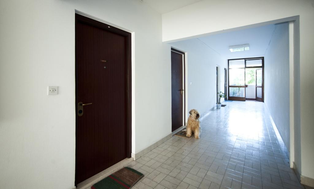 Apartman Asa Split
