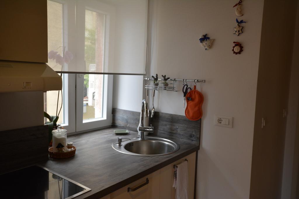 Apartment Petrova Attic