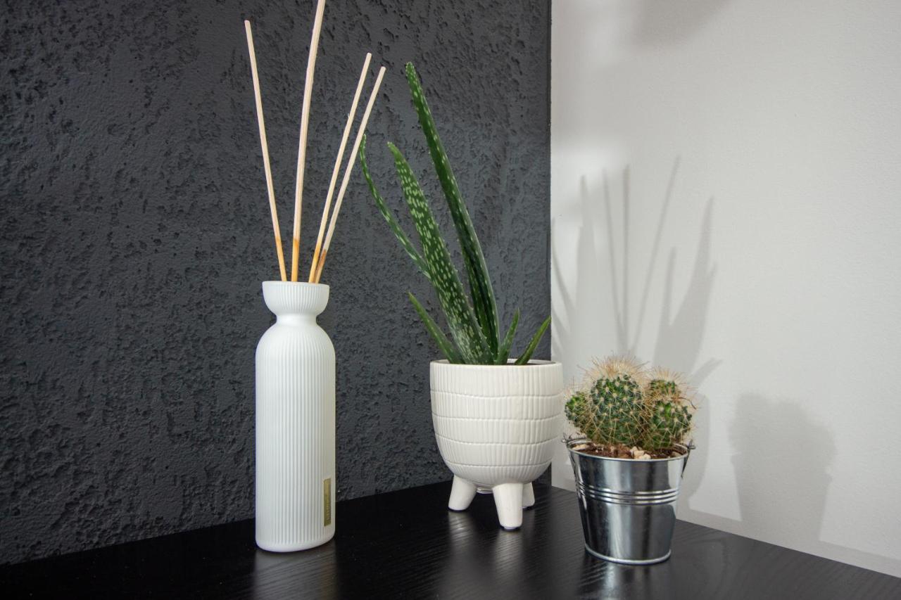 Apartment Maroen Lux And Old Town