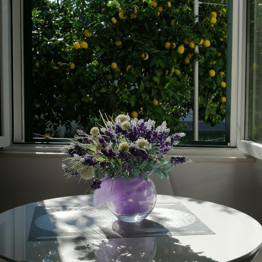 Tonina - House With Terrace, Jacuzzi, Free Parking Apartman Split