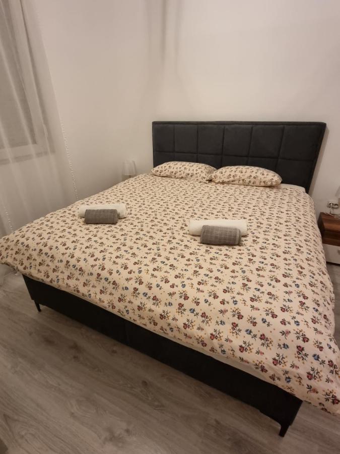 Apartman Dana Appartement