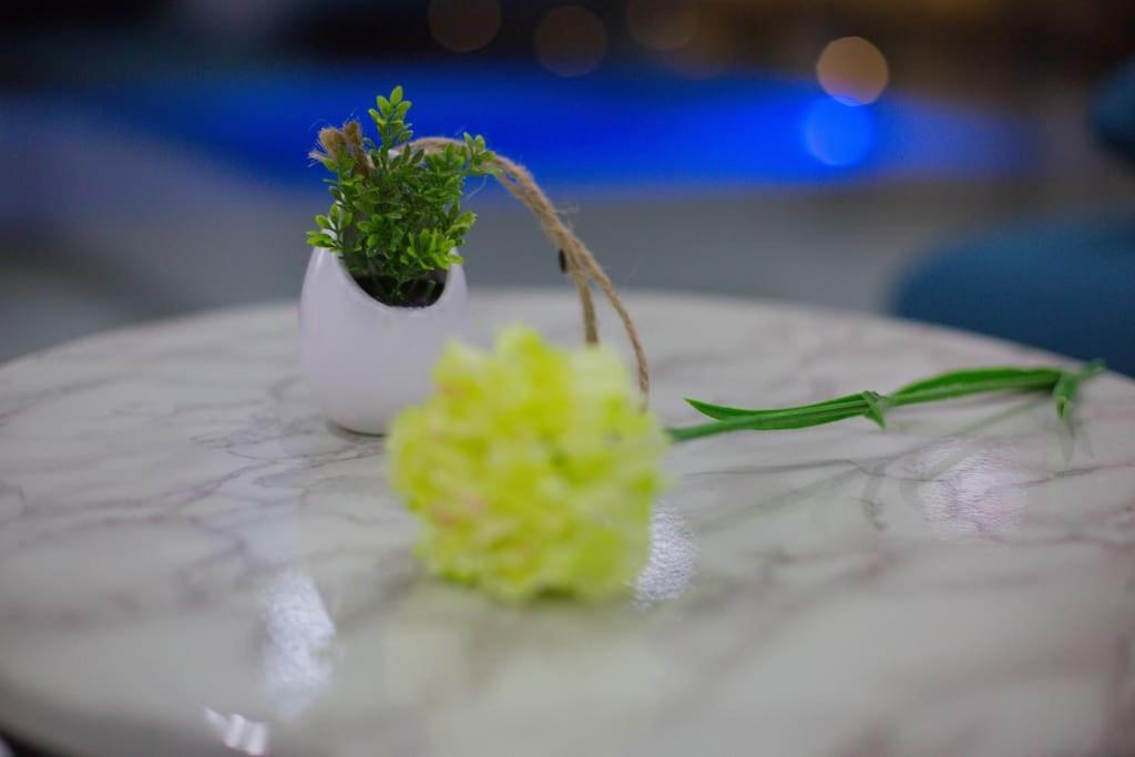 Enjoy Lux In Villa *