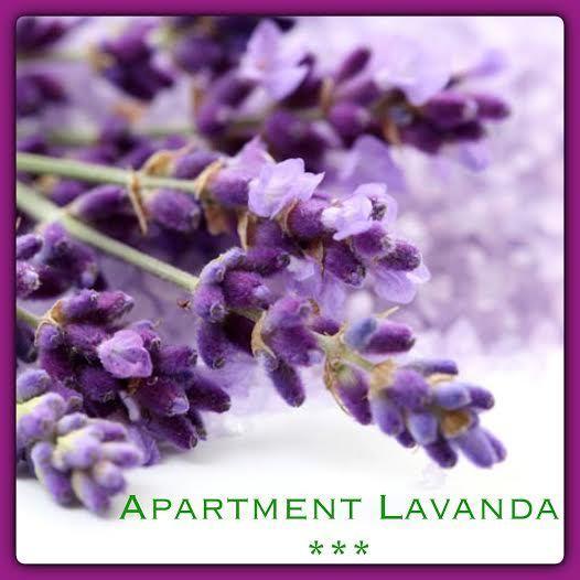 Apartman Mala Luce